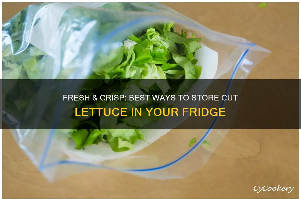 how to store cut lettuce in refrigerator