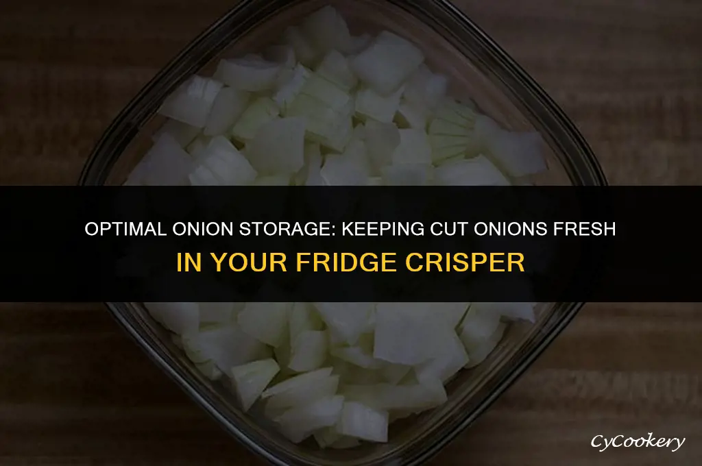 how to store cut onions in refrigerator crisper drawer