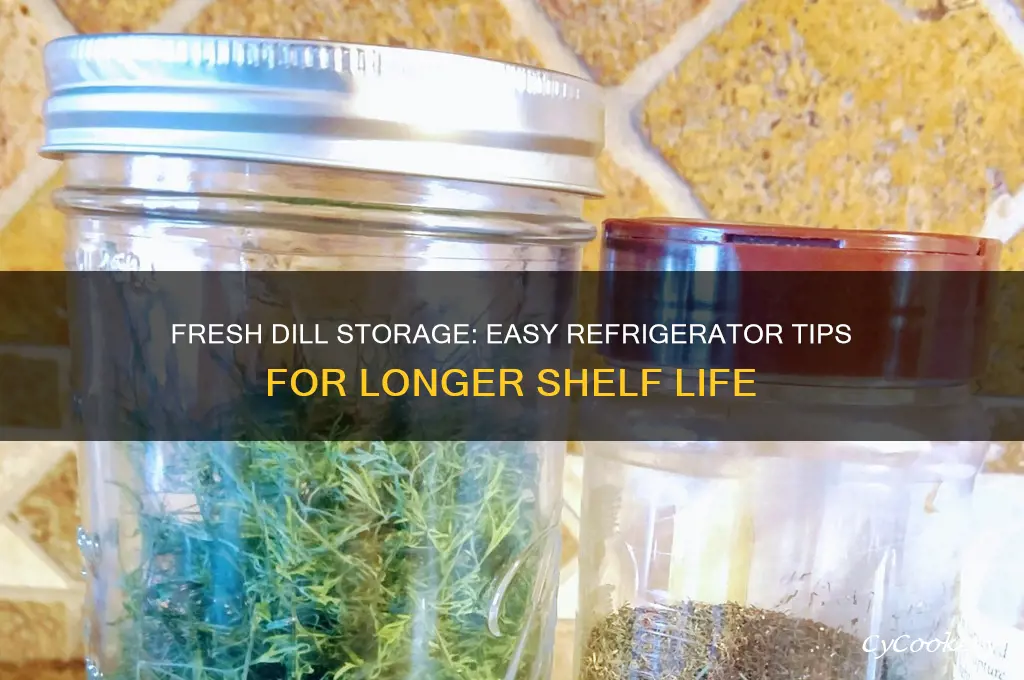 how to store dill in the refrigerator
