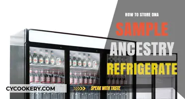 Proper DNA Sample Storage for Ancestry: Refrigeration Tips and Best Practices
