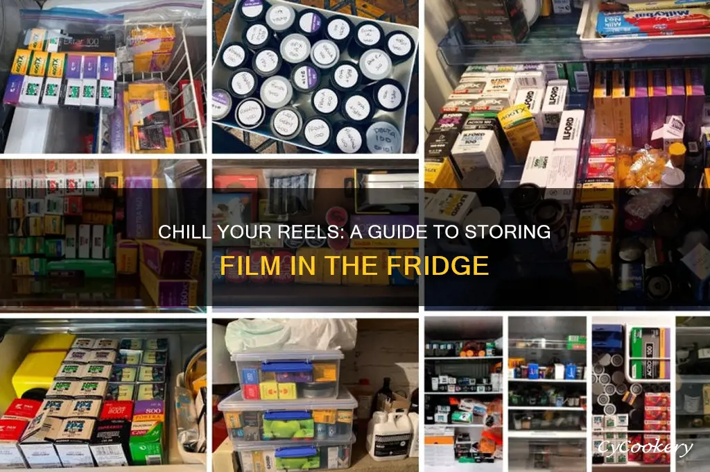 how to store film in the refrigerator