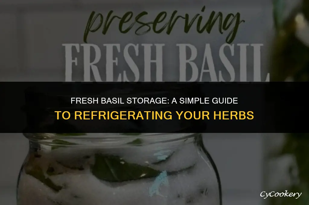 how to store fresh basil leaves in the refrigerator