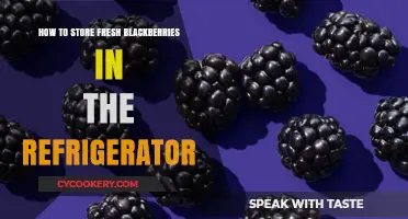 Fresh and Juicy: The Ultimate Guide to Storing Blackberries