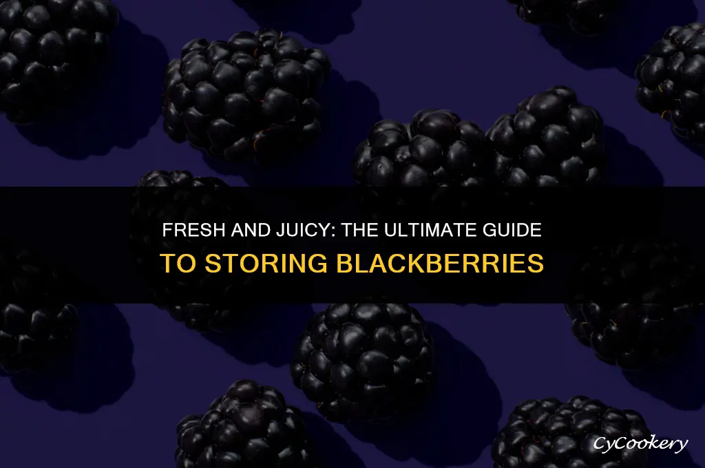 how to store fresh blackberries in the refrigerator