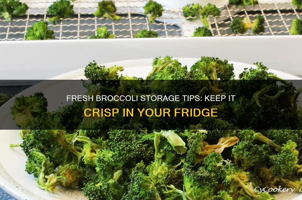 how to store fresh broccoli in the refrigerator