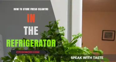 Easy Tips for Keeping Cilantro Fresh in Your Fridge