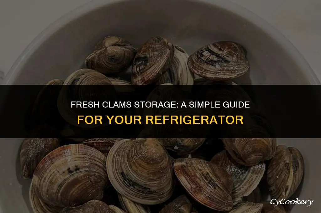 how to store fresh clams in the refrigerator