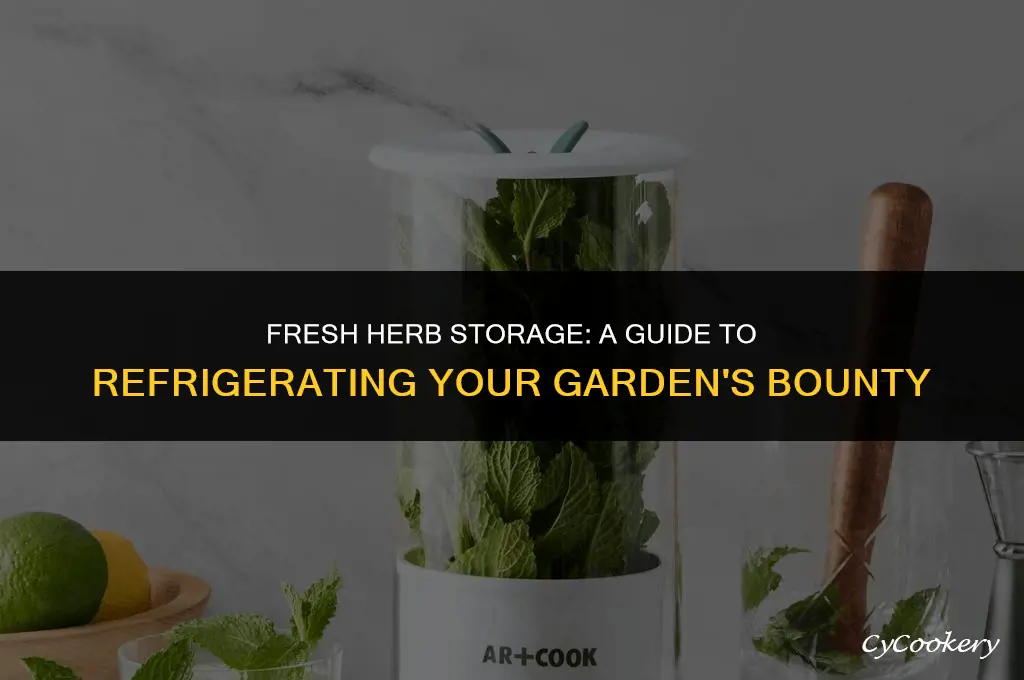 how to store fresh cut herbs in refrigerator
