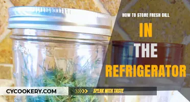 Easy Tips for Storing Fresh Dill in Your Refrigerator