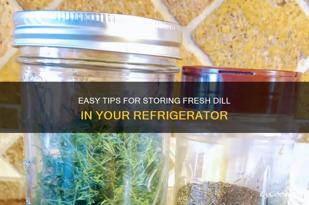 how to store fresh dill in the refrigerator