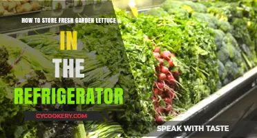 Keep Your Garden Lettuce Fresh: A Refrigeration Guide
