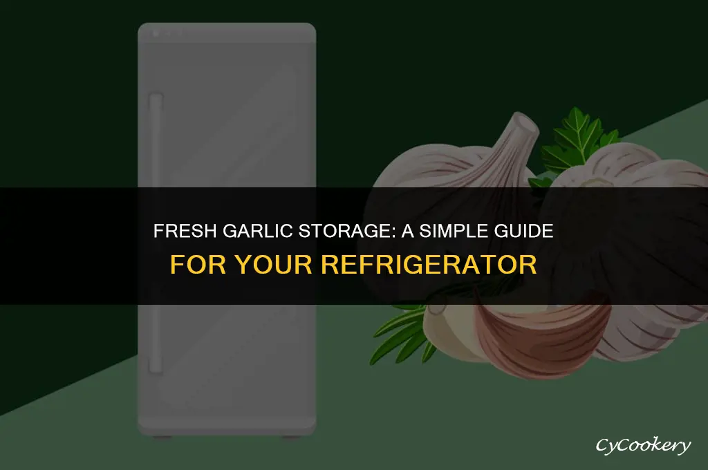 how to store fresh garlic in the refrigerator