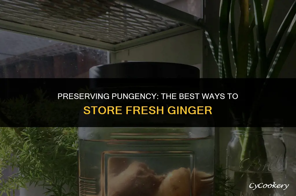 how to store fresh ginger in the refrigerator