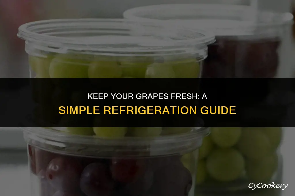 how to store fresh grapes in the refrigerator