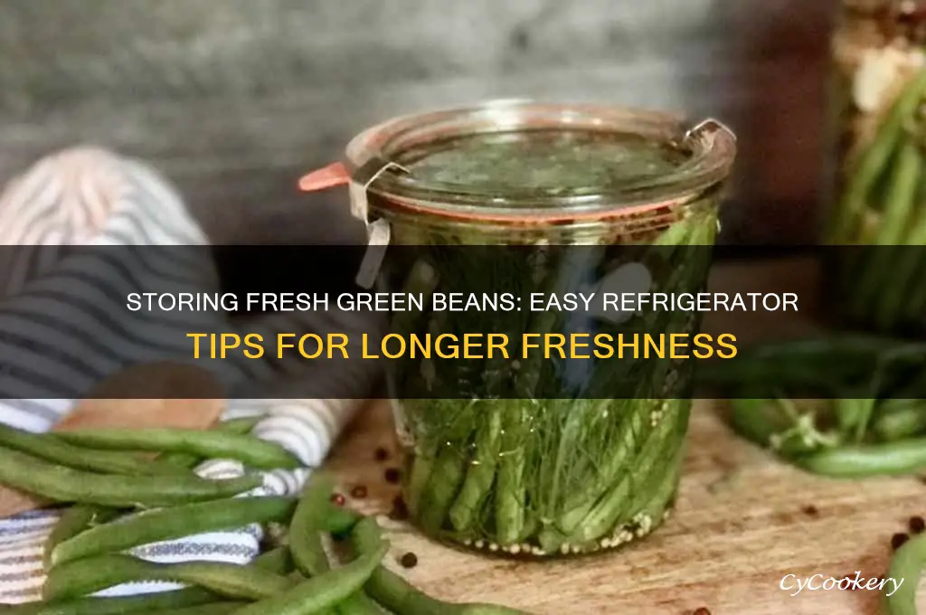 how to store fresh green beans in refrigerator