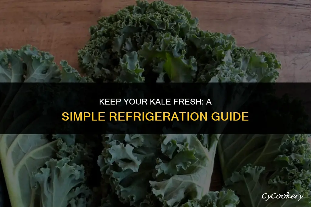 how to store fresh kale in the refrigerator