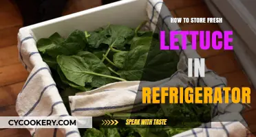 Keep Your Lettuce Crisp: Easy Refrigerator Storage Tips for Freshness