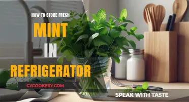 Keep Mint Fresh Longer: Easy Refrigerator Storage Tips & Tricks