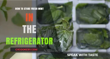 Fresh Mint Storage: A Simple Guide to Refrigerating Your Herbs