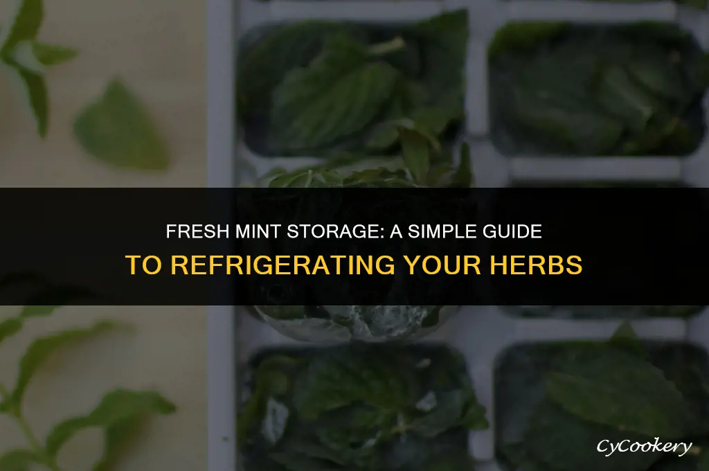 how to store fresh mint in the refrigerator
