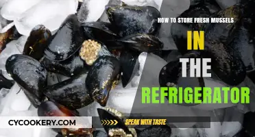 Fresh Mussels Storage: A Simple Guide for Your Refrigerator