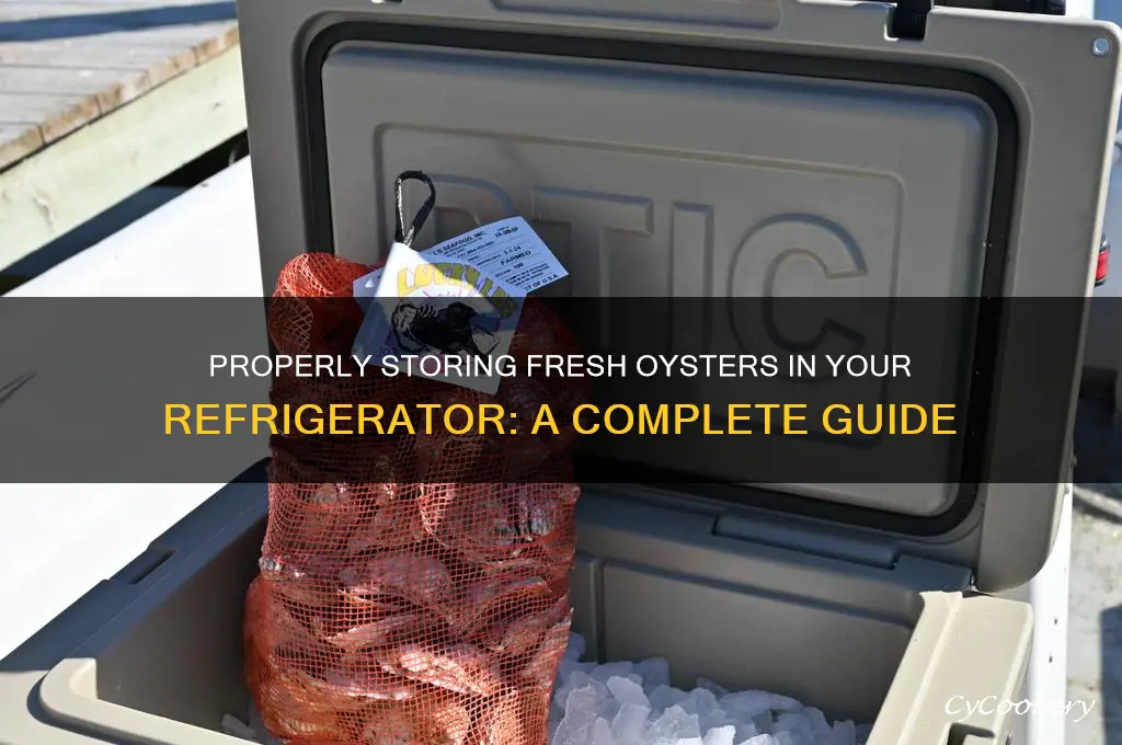 how to store fresh oysters in refrigerator