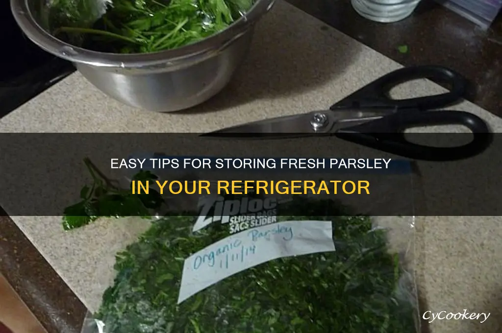 how to store fresh parsley in refrigerator