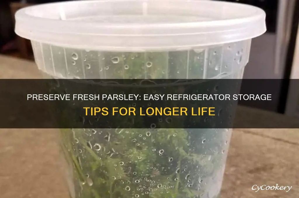 how to store fresh parsley in the refrigerator