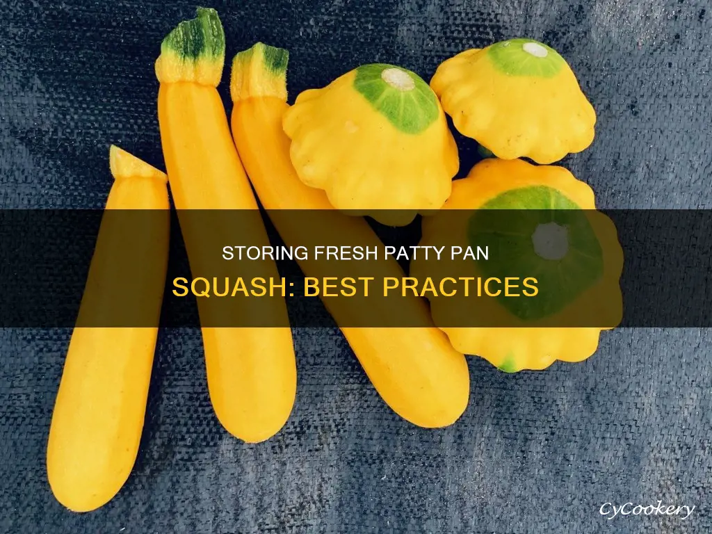 how to store fresh patty pan squash