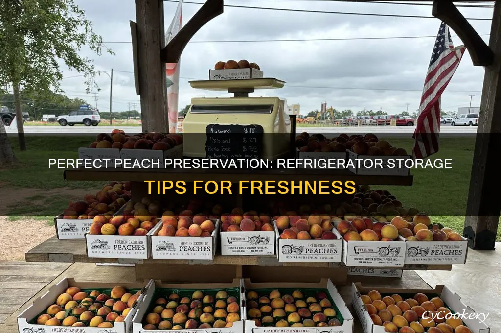 how to store fresh peaches in refrigerator