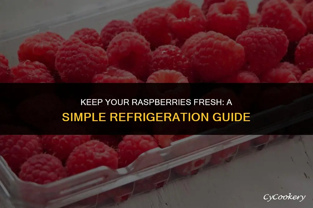 how to store fresh raspberries in the refrigerator