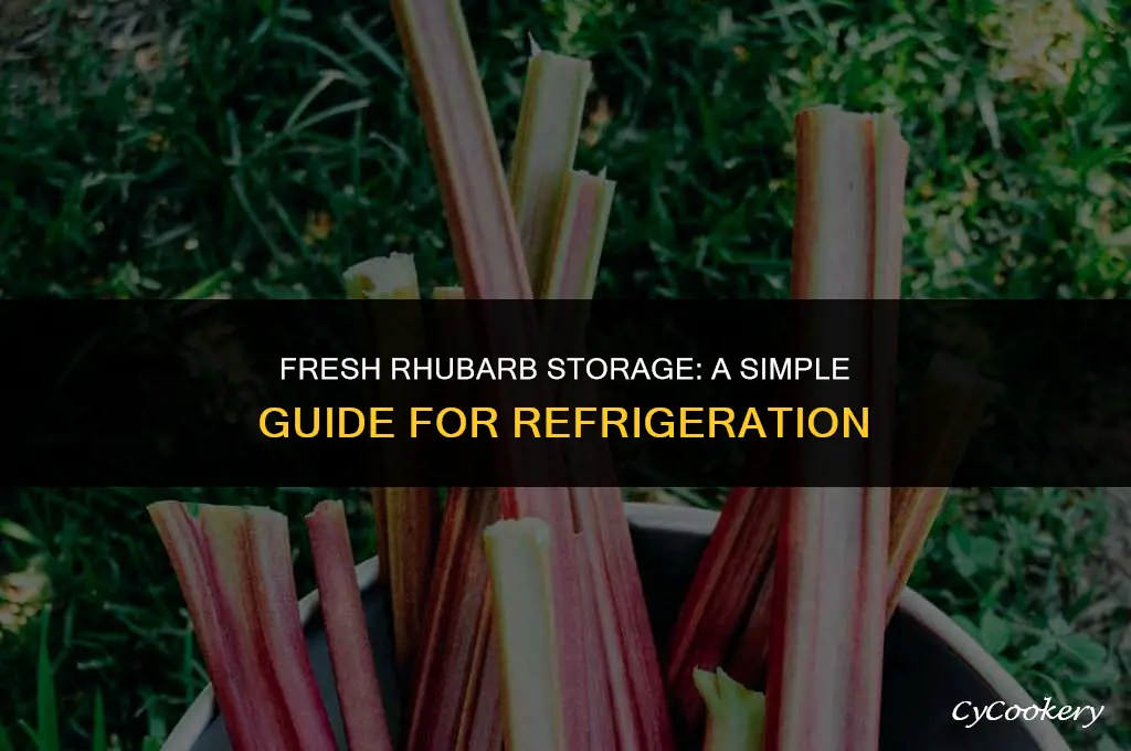 how to store fresh rhubarb in the refrigerator
