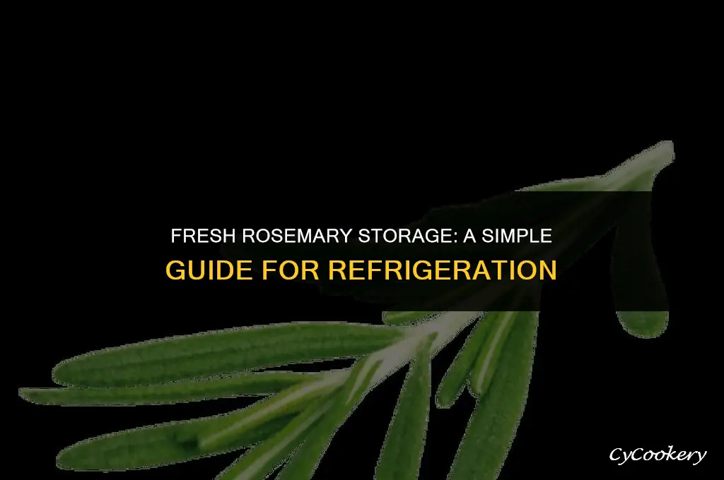 how to store fresh rosemary in the refrigerator