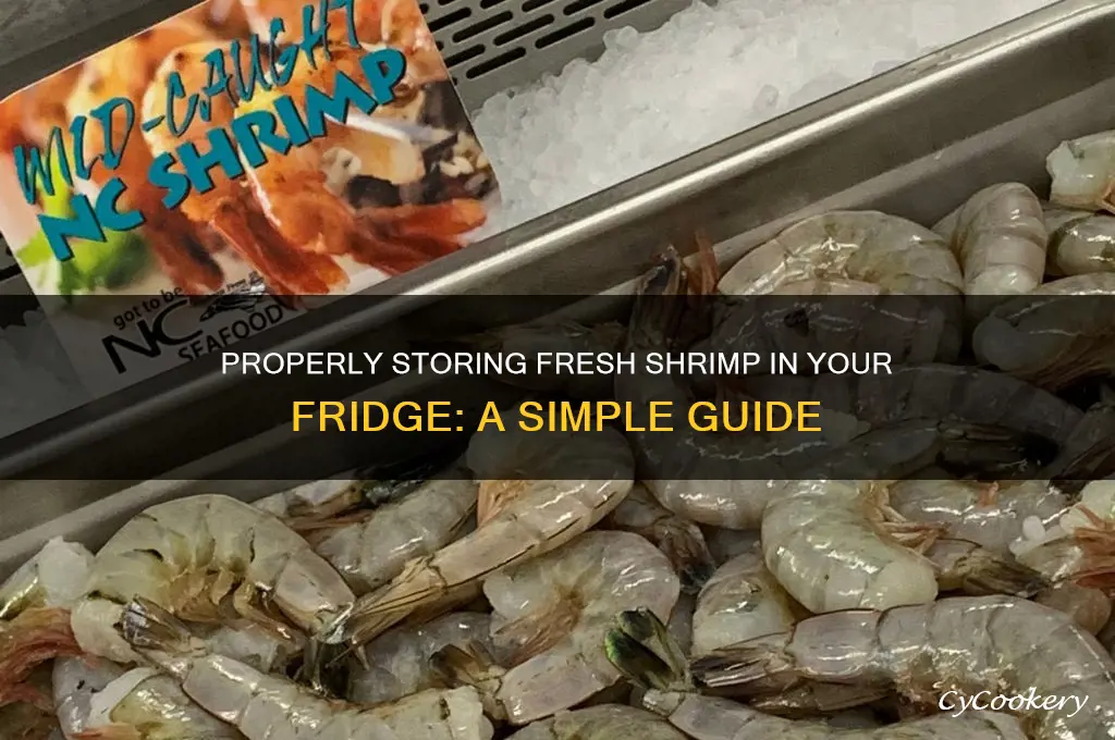 how to store fresh shrimp in refrigerator