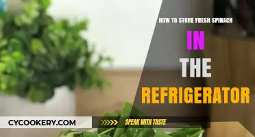 Keep Spinach Fresh Longer: Easy Refrigerator Storage Tips