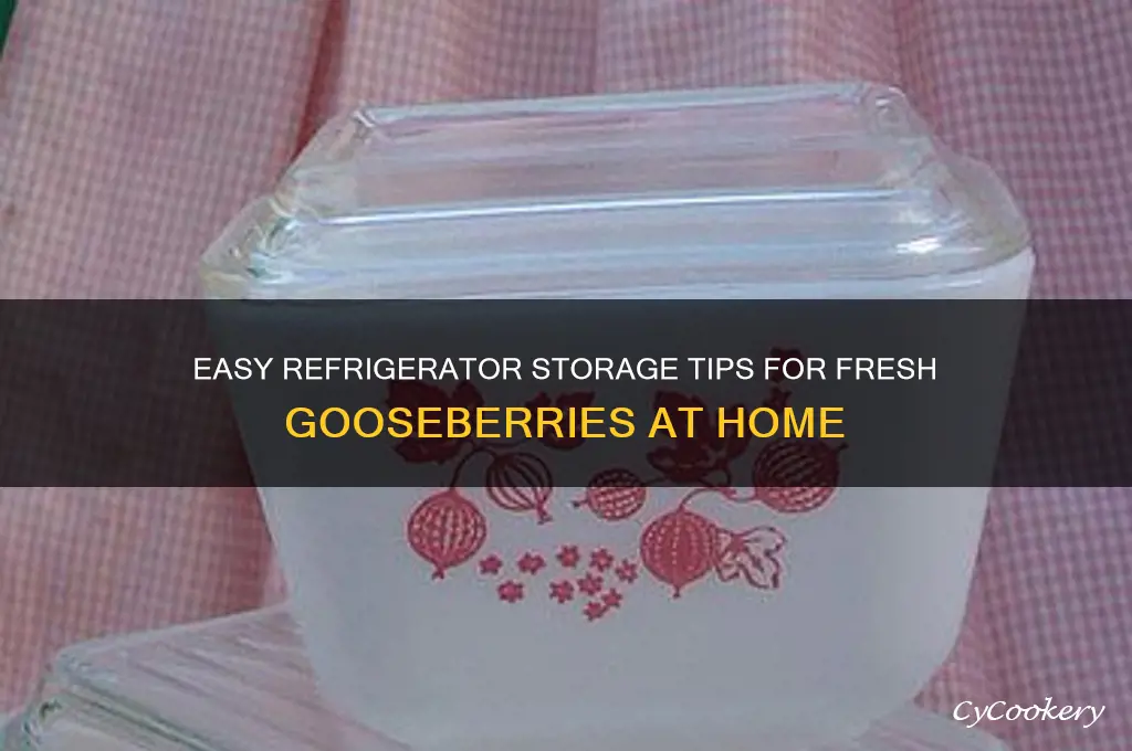 how to store gooseberries in the refrigerator