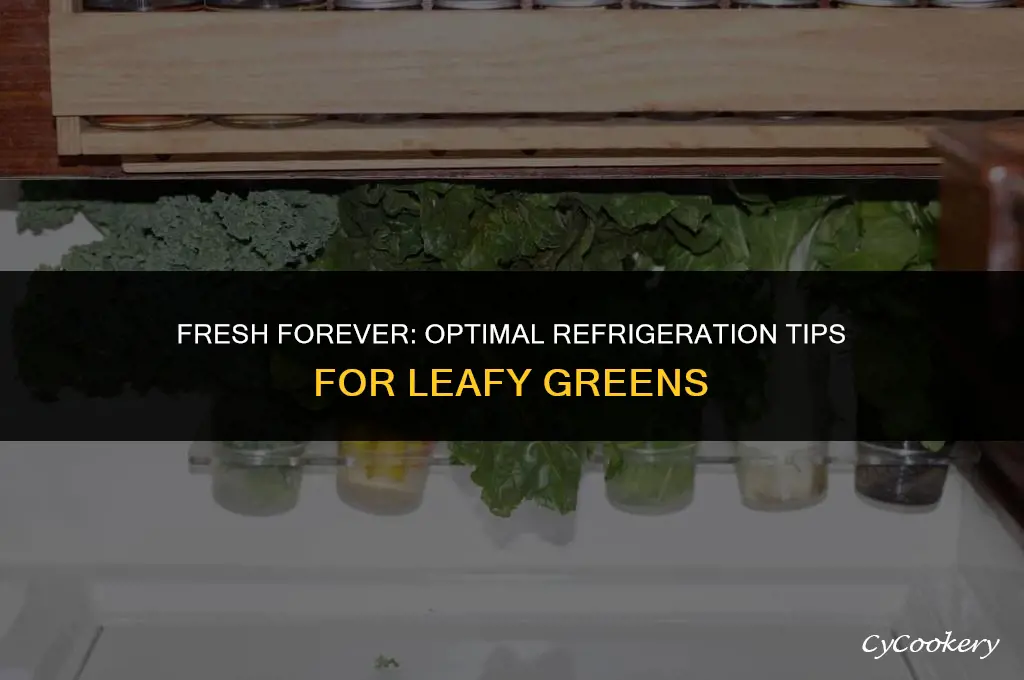 how to store green leafy vegetables in refrigerator