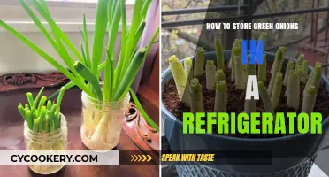 Freshness Preserved: Optimal Refrigeration Tips for Green Onions