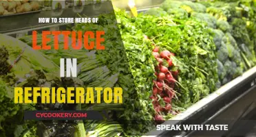 Fresh and Crisp: The Ultimate Guide to Storing Lettuce