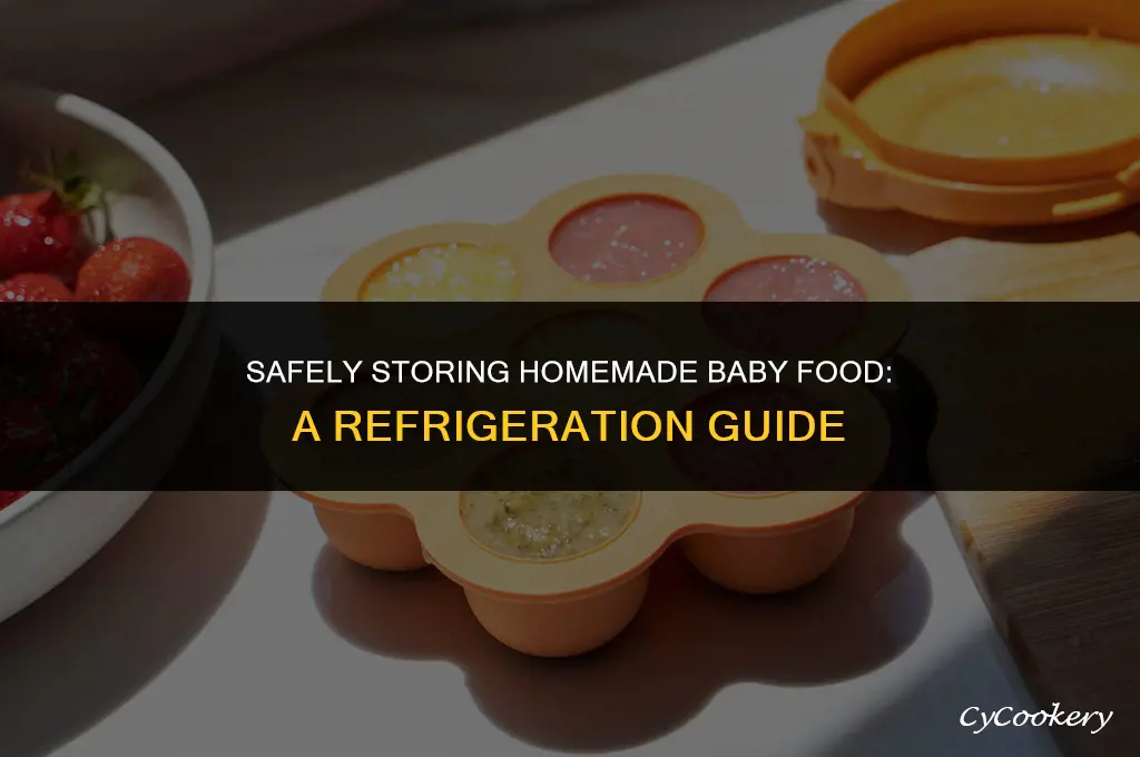 how to store homemade baby food in the refrigerator