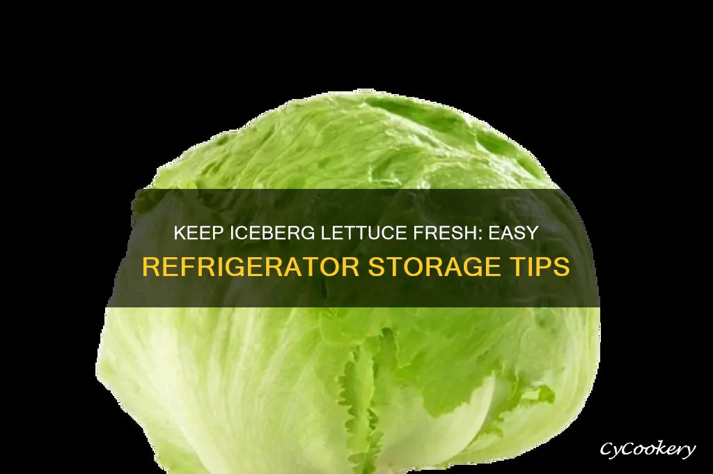 how to store iceberg lettuce in the refrigerator