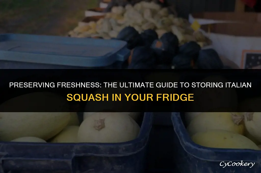 how to store italian squash in the refrigerator