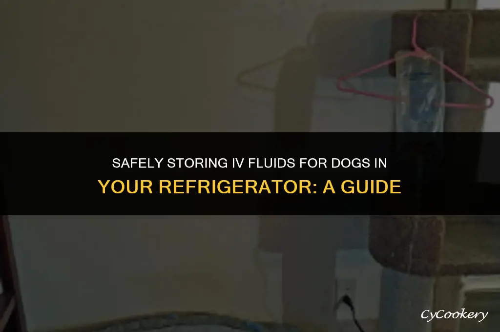 how to store iv for dogs in the refrigerator