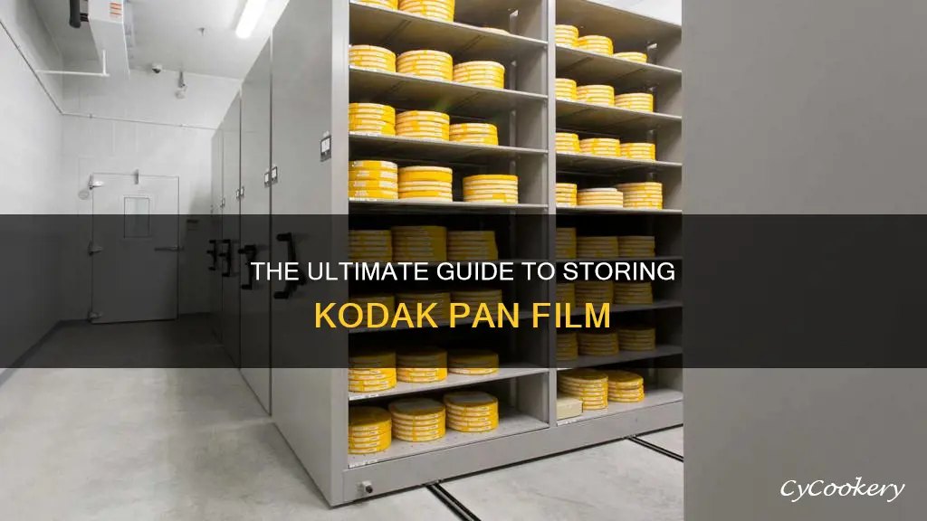 how to store kodak pan film