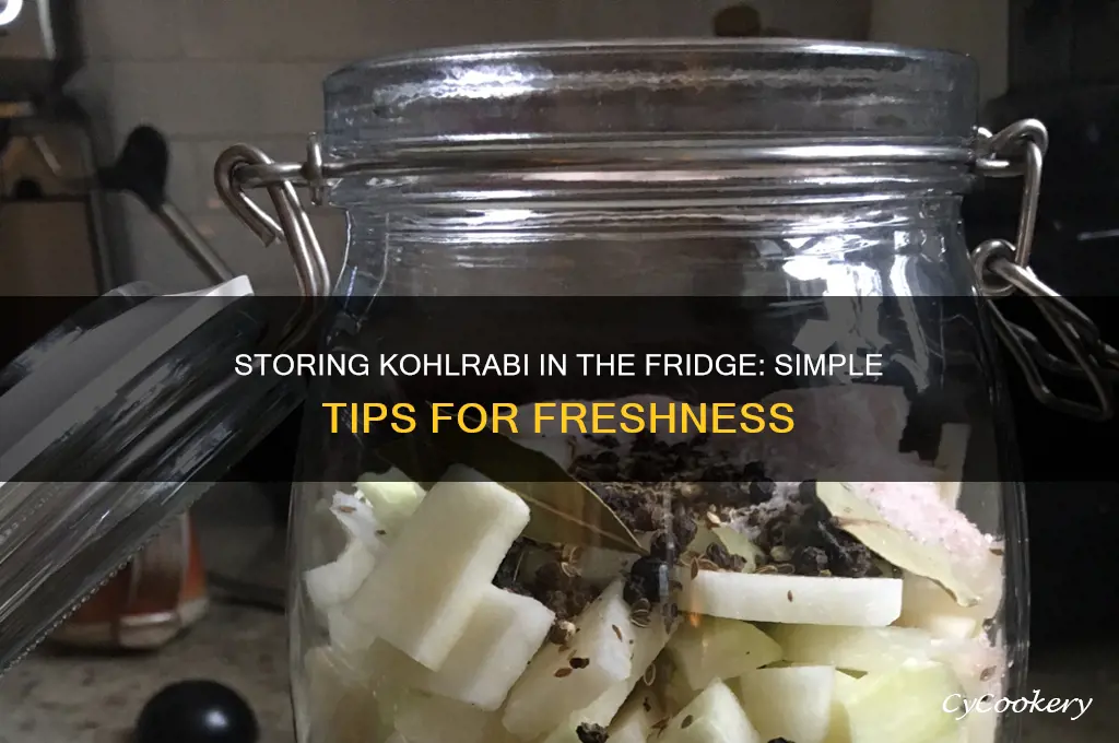 how to store kohlrabi in the refrigerator