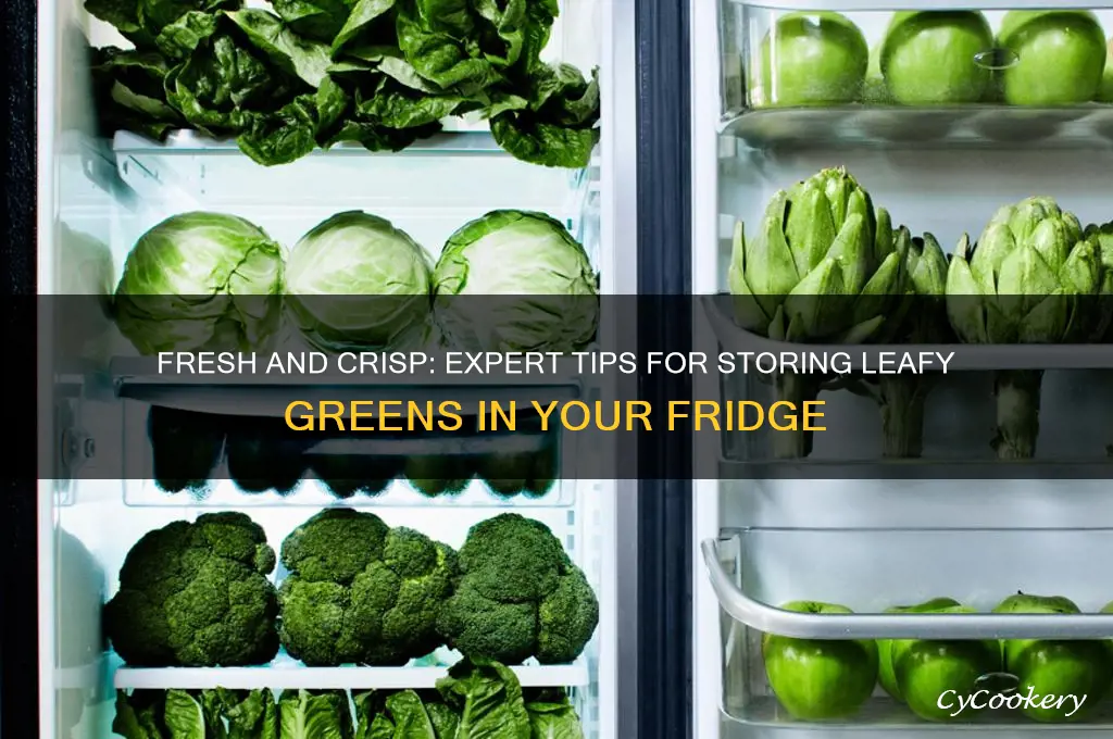 how to store leafy vegetables in refrigerator