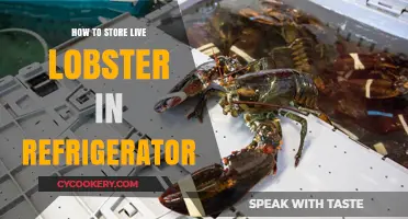 Properly Storing Live Lobster in Your Fridge: A Step-by-Step Guide