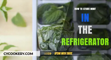 Fresh Mint Storage: Easy Refrigerator Tips for Longer Shelf Life