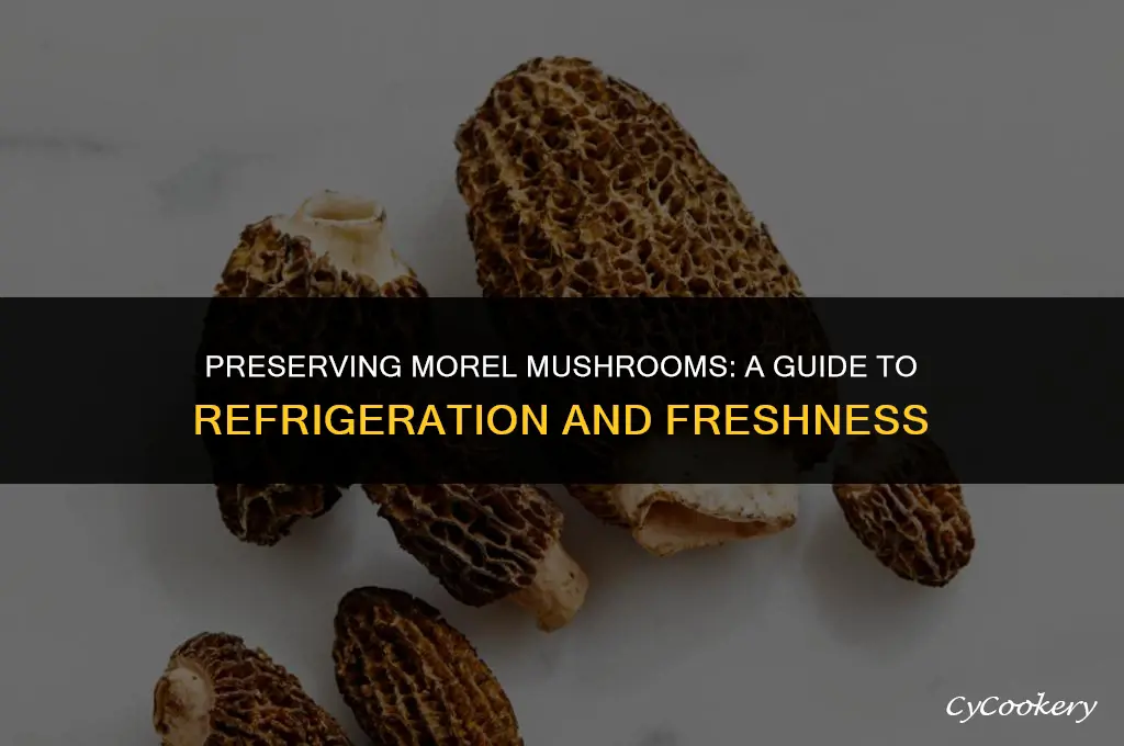 how to store morel mushrooms in the refrigerator