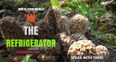 Preserving Morel Mushrooms: Refrigeration Tips for Freshness and Flavor